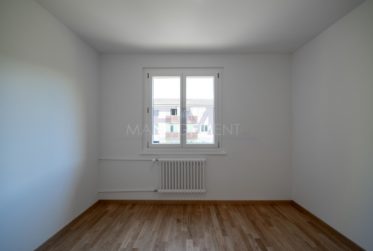 Chêne-Bourg, Avenue Petit-Senn, 3 pièces au 1er étage