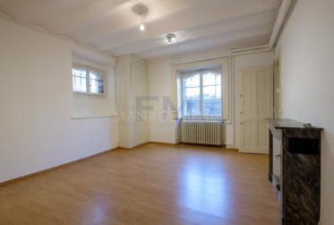 Bd des Tranchées, 9 pièces,en Rez-jardin, env. 310m2