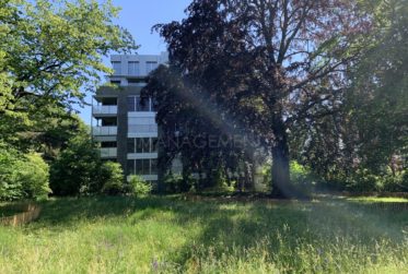 Florissant - Malagnou - Ch. de la Florence, 5 pièces, au rez