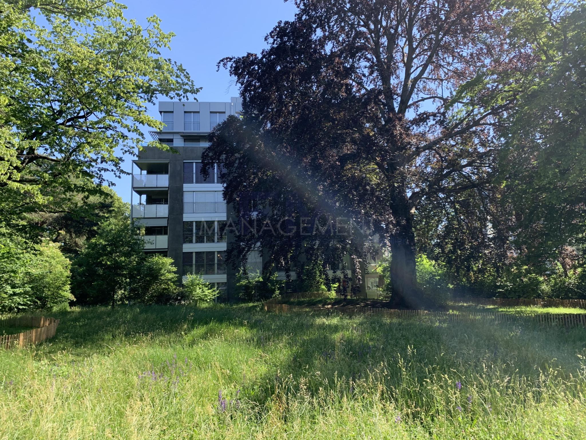 Florissant - Malagnou - Ch. de la Florence, 5 pièces, au rez