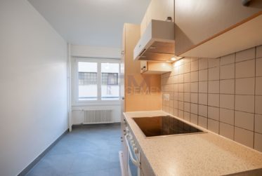 Servette, Avenue de Luserna, 5 pièces au 1er étage, env 84m2