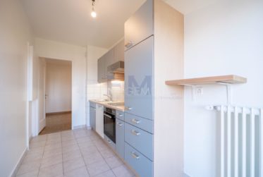 Meyrin - Av de Vaudagne - 5 pièces au 6ème étage, env 125m2