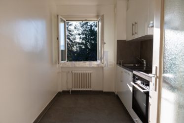Meyrin Village – Rue Virginio-Malnati - Appartement rénové – 3 pièces – env. 42m² avec balcon