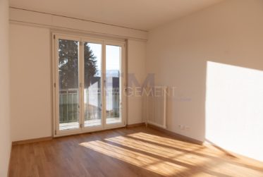 Meyrin Village – Rue Virginio-Malnati - Appartement rénové – 3 pièces – env. 42m² avec balcon