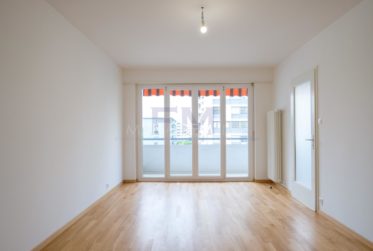 Servette, Avenue de Luserna, 4 pièces au 5ème étage, env 95m2