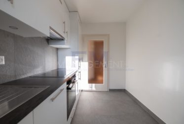 Meyrin Village – Rue Virginio-Malnati - Appartement rénové – 3 pièces – env. 42m² avec balcon