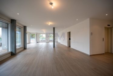 Florissant - Malagnou - Ch. de la Florence 7 pcs, au 5ème étage , env. 285m2 + terrasse