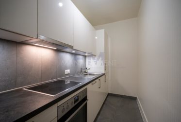 Centre Ville - Bd Helvétique 15 - 3 pièces au rez, env. 80m2
