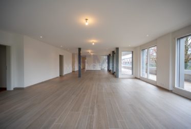 Florissant - Malagnou - Ch. de la Florence 7 pcs, au 5ème étage , env. 285m2 + terrasse