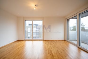 Florissant - Malagnou - Ch. de la Florence 7 pcs, au 5ème étage , env. 285m2 + terrasse