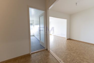 Servette, Avenue de Luserna, 4 pièces au 5ème étage