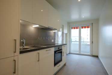 Servette, Avenue de Luserna, 4 pièces au 5ème étage, env 95m2