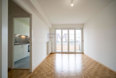 Av. de Vaudagne - Appartement rénové de 3 pièces avec Balcon à Meyrin