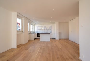 EAUX-VIVES - Appartement de 4.5 pièces - env. 75 m²