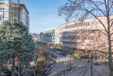 Carouge - Rue des Caroubiers - Appartement 2 pièces d'environ 47m2 au rez-de-chaussée